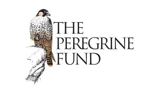 peregrinefund_logo